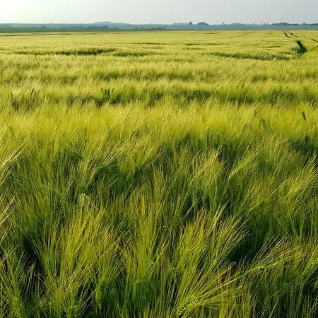 Countryside-lovers - Ganzes Haus 100m² Fuer Euch Allein Mit Garten Prázdninový dům Halsbrucke