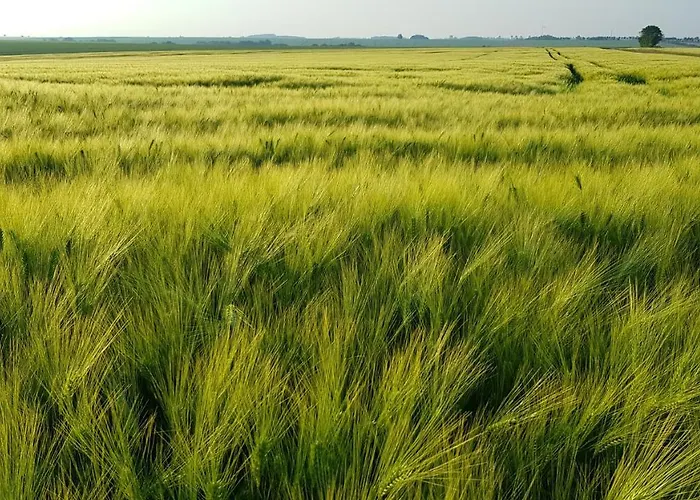 Countryside-lovers - Ganzes Haus 100m² Fuer Euch Allein Mit Garten Holiday home Halsbrucke